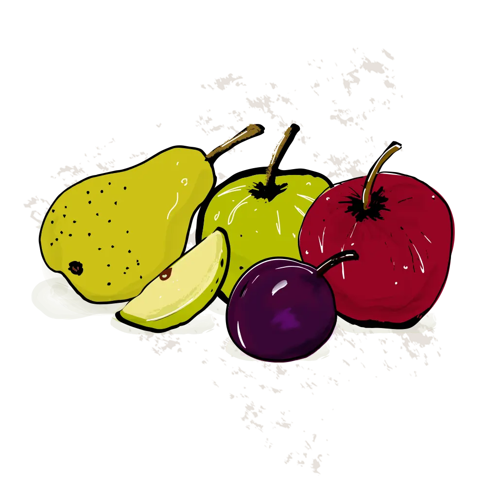 An illustration of apples, pears and plums