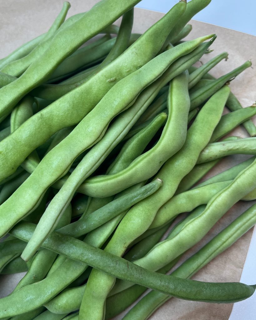 Organic green beans from Harvest
